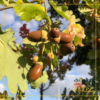 Herfstvakantie!